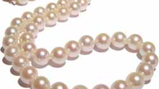 Pearls Of...Wisdom?